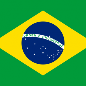 How do Young Climate Activists in Brazil Think?
