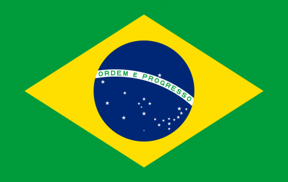 How do Young Climate Activists in Brazil Think?