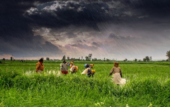 Budget Failures for Farmers