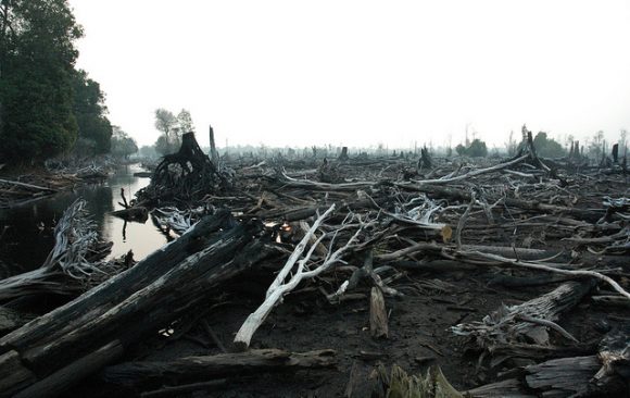 Peatland Restoration Agency Activities