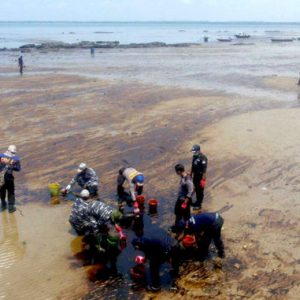 Massive Environmental and Health Damage from Oil Spill in Borneo
