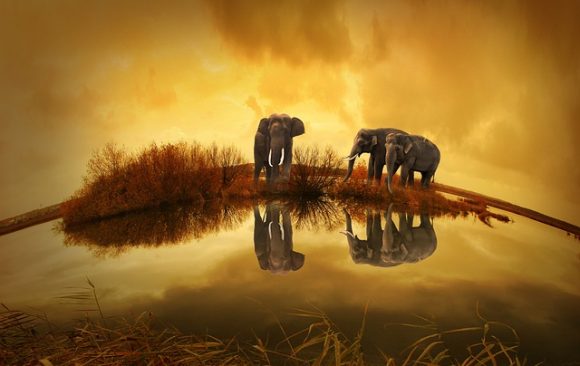 Nationally Appropriate Mitigation Actions (NAMAS) Significant for Strengthening Thailand’s Paris Agreement Pledge, Improving Energy-efficiency and Mitigating Climate Change