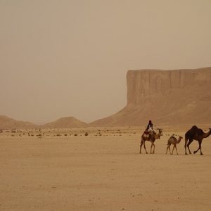 Saudi Arabia’s Nationally Determined Contribution (NDC)
