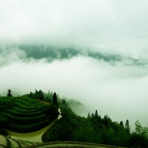 China’s National Determined Contribution