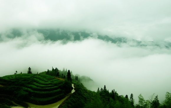 China’s National Determined Contribution