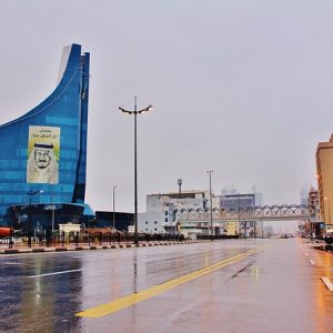 Saudi Arabia Objects to IMO Negotiations on Emissions