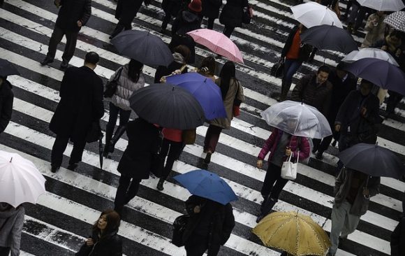 The Climate Change Adaptation Law