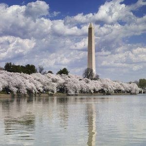 The United States Proposed Withdrawal from the Paris Agreement Has Been Accompanied by Its Refusal to Honor a 2 Billion Commitment to the Green Climate Fund