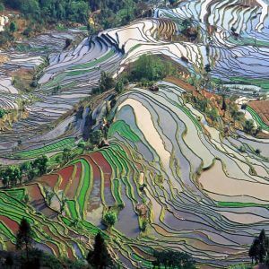 China’s Low Carbon Transition Starts to Be Implemented