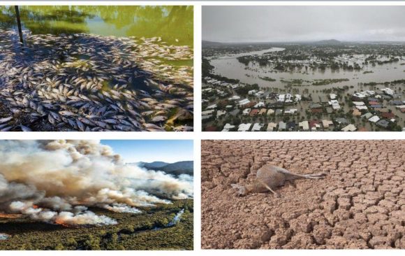Summer of Climate Extremes