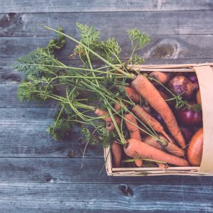 Canada’s New Food Guide Has Climate Considerations