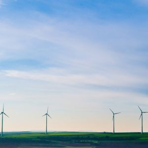 Making Progress in Phasing-out Coal-fired Electricity