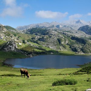 European Environmental Agency Provides Relevant, Comprehensive Data that Could be Made More Timely