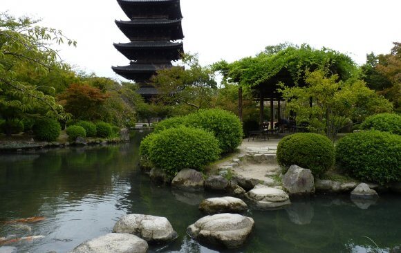Japan Policy Recommendations