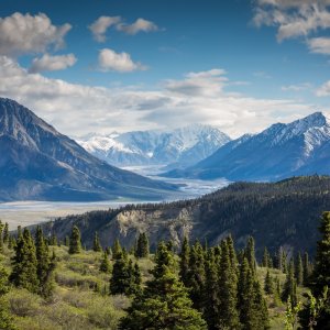 Canada: Organizations Seek Higher Ambition Similar to Scorecard 2020 Campaign