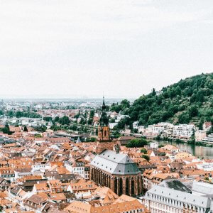 Germany: Organizations Nominated To Support The 2020 Campaign