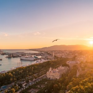 Spain: Organizations Nominated To Support The 2020 Campaign
