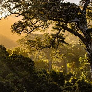 South Africa: Organizations Nominated To Support The 2020 Campaign
