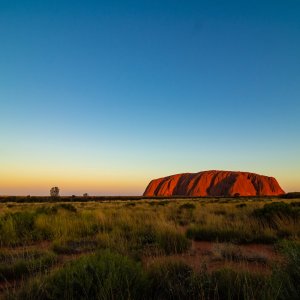 Australia: Organizations Nominated To Support The 2020 Campaign