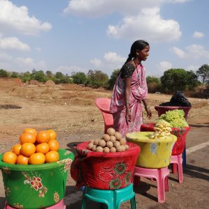 The Social Cost of Climate Change in India