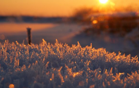 The Social Cost of Climate Change in Russia