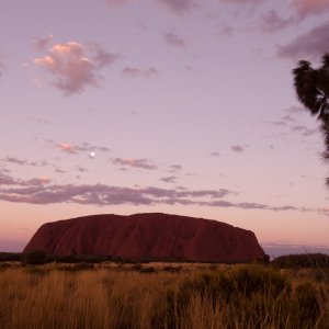 Lack of Government Support Hampers the Use of Australia’s Vast Renewable Energy Resources