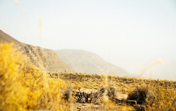The Cost of Climate Change in South Africa