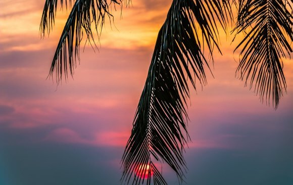 The Cost of Climate Change in Thailand