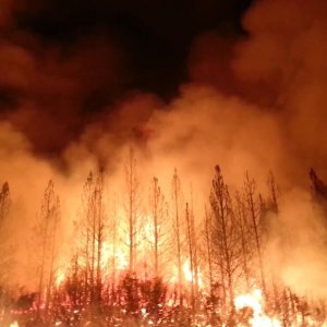 Fires Rage Across the Amazon