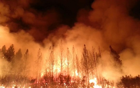 Fires Rage Across the Amazon