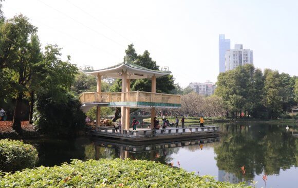 Renewable Energy Use is Growing in China
