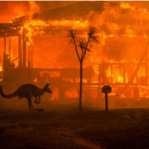 Australia’s Summer of Bushfire Disaster