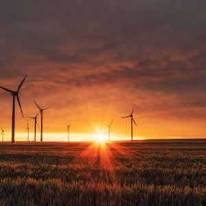 Global Spotlight Report #21: Leading Greenhouse Gas Emissions Policies