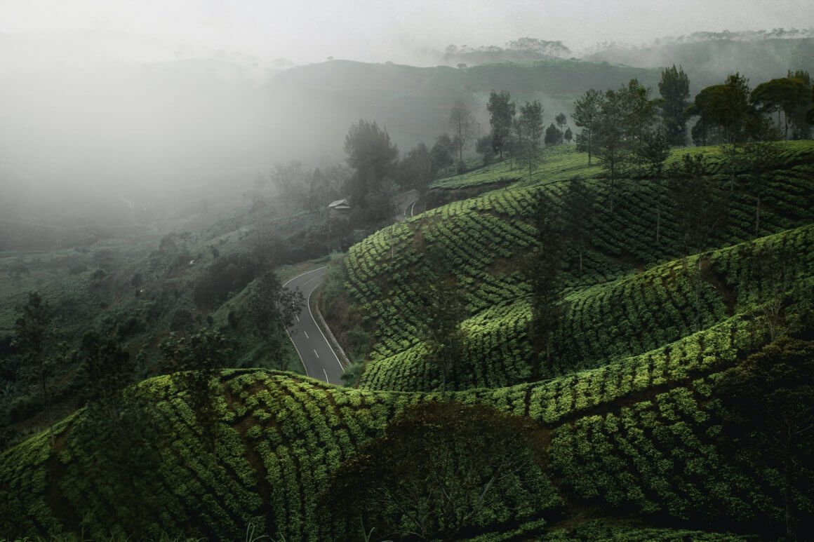 Indonesia’s Efforts at Energy Sector Do Not Go Far Enough