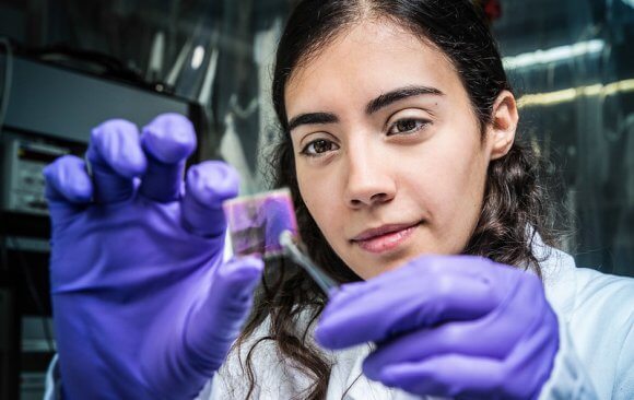 Spotlight on: French National Centre for Scientific Research and the French National Research Institute for Agriculture