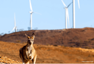 CSIRO and ARENA Leading Climate Mitigation Research in Australia