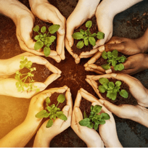 Green Jobs are Needed in More than Just the Energy Sector in Ukraine