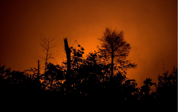 Brazil: The 2021 Climate Year in Review