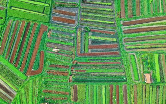 brazil-36 Brazil Climate Policy Recommendations