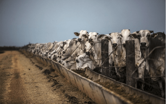 uk-36 UK Should Support Divestment of International Financing of Fossil Fuels Among Other Climate Policies