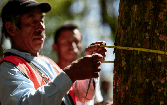 Best Climate Practice Mexico: Pronatura Mexico