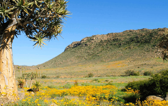 Best Climate Practice South Africa: SouthSouthNorth