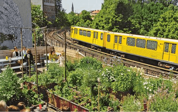 Berlin Takes a Leading Role in Showing the Way to Climate Neutrality