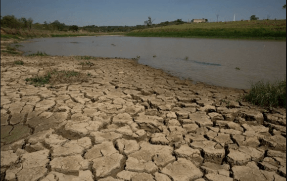 Government Attitude Towards Environmental Regulation in Brazil