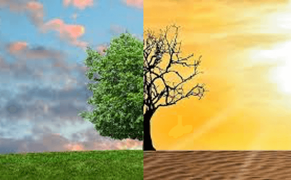 EU Member States Plans Not Ambitious Enough to Meet EU Climate Goals