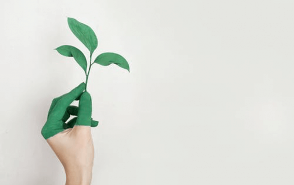 India’s Challenges: Lack of Promised External Financial Resources and Greater Internal Investment in Climate Technologies