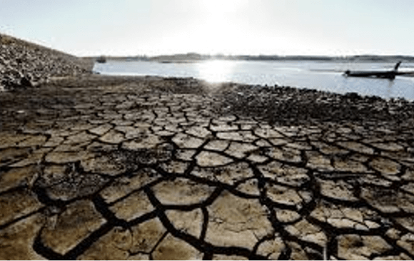Brazil Suffered from Two Extreme Weather Events in 2021: Floods and Droughts
