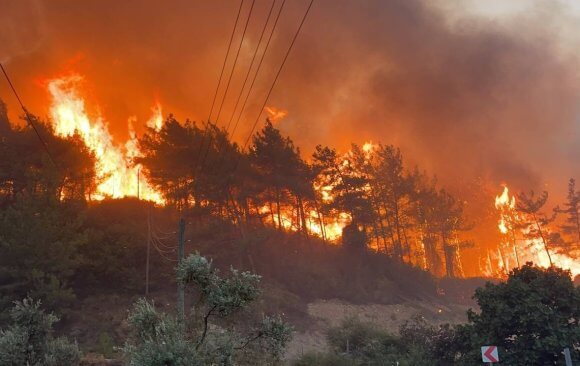Extreme Temperatures and Forest Fires in Turkey Reflect Climate Change