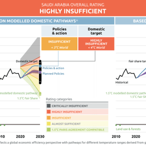Saudi Arabia: Climate Progress Report