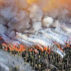 United States: Climate Progress Report